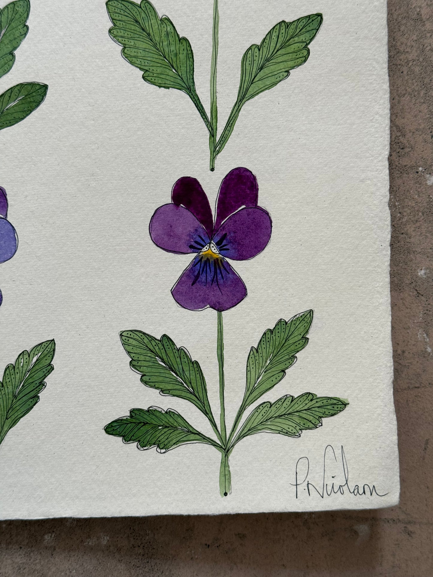 Original, large Watercolour Viola Painting