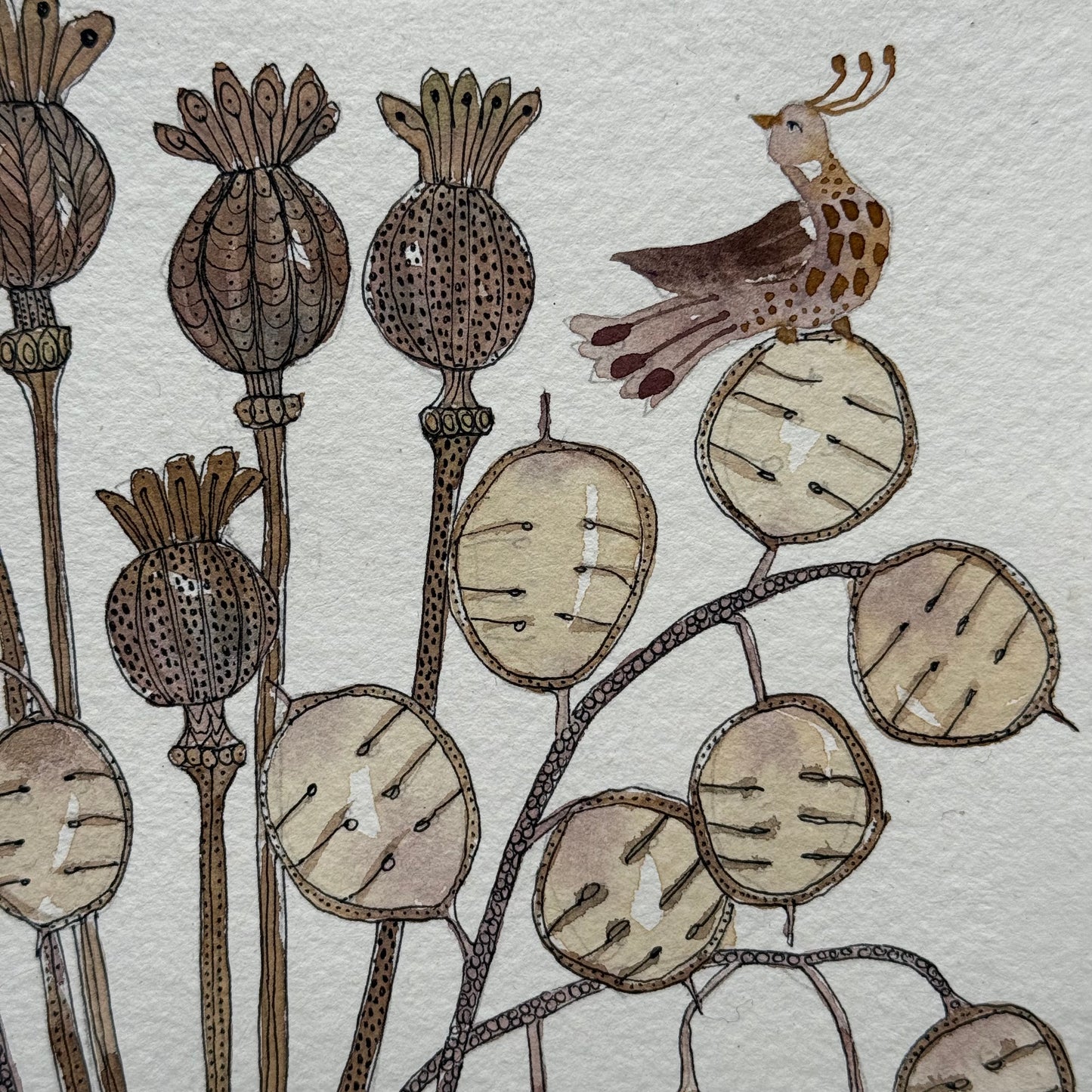 Original, Watercolour & Ink dried Seed Heads in a Delft Mug.