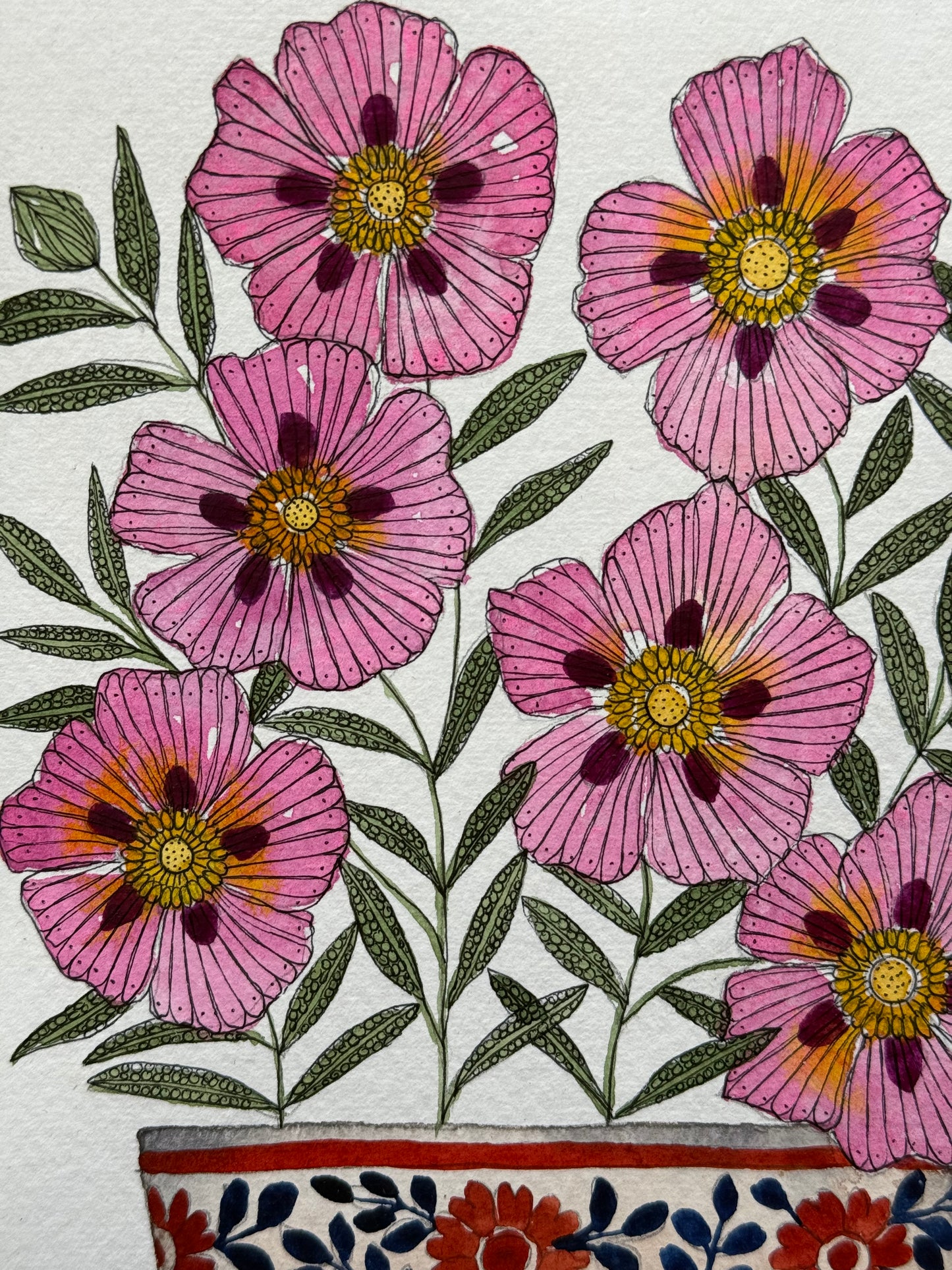 Original, A5 watercolour painting of Cistus Flowers in a little patterned Pot