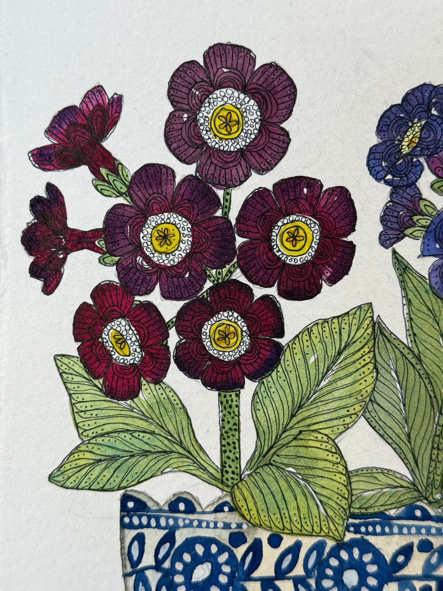 Original watercolour & ink auricular flowers in blue & white ceramic vessel