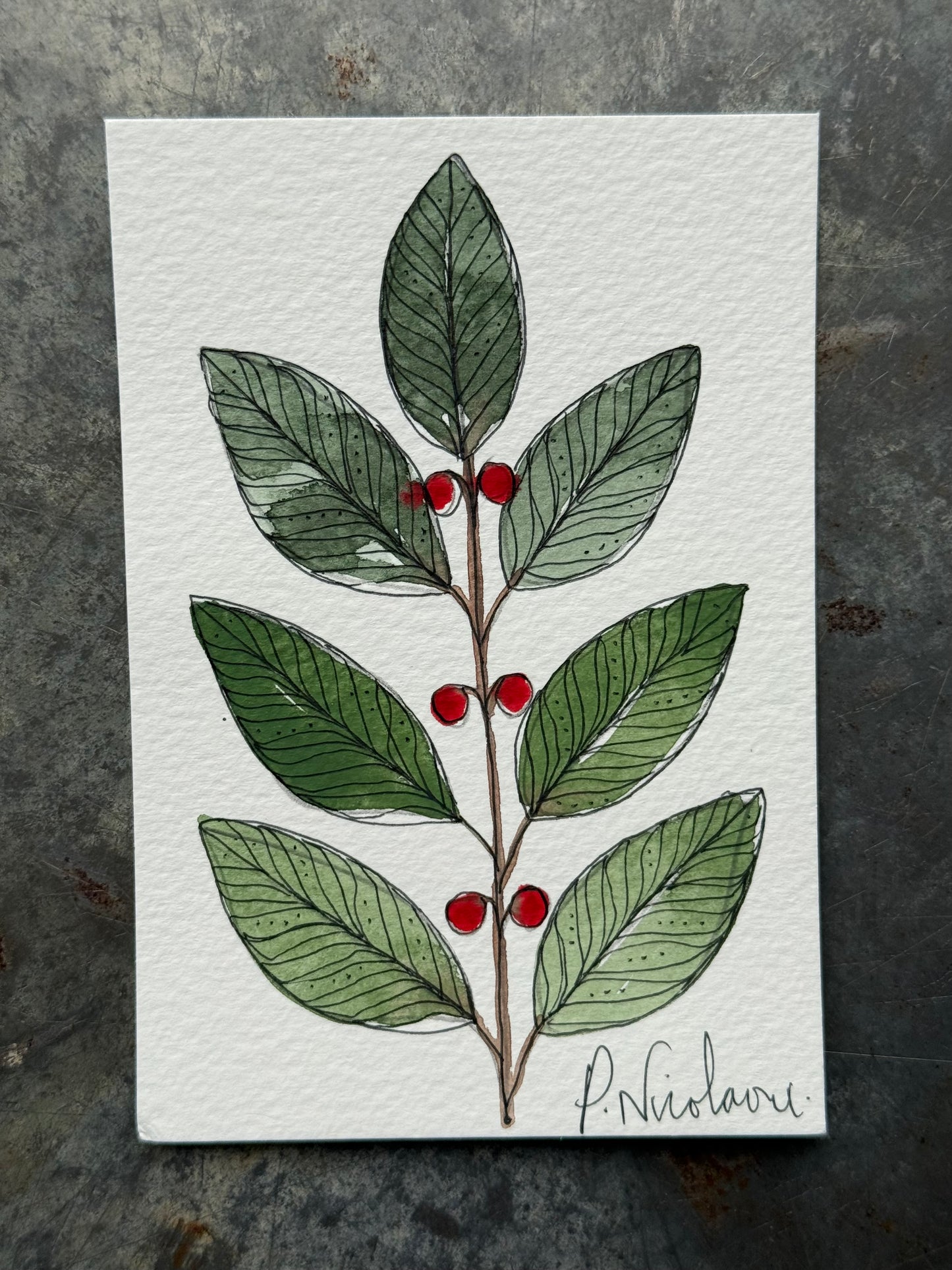 Hand painted, Watercolour little Card/Notes (4 in a pack)