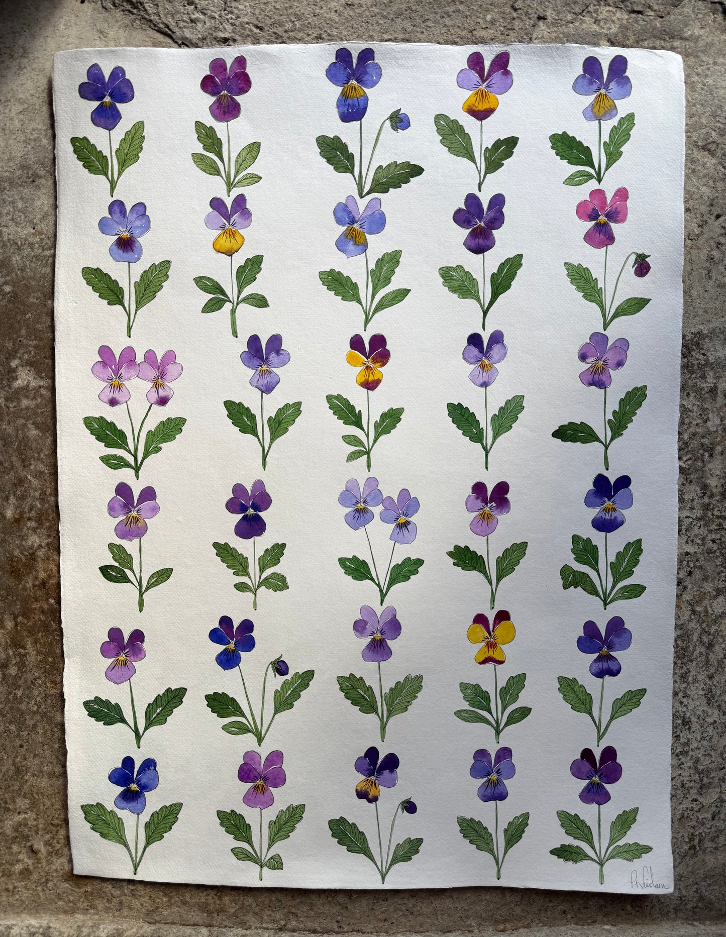 Original, large Watercolour Viola Painting