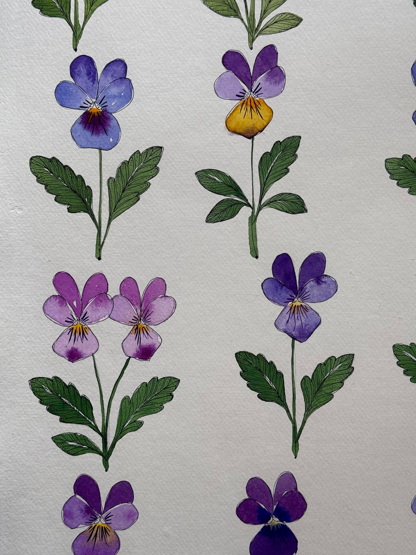 Original, large Watercolour Viola Painting