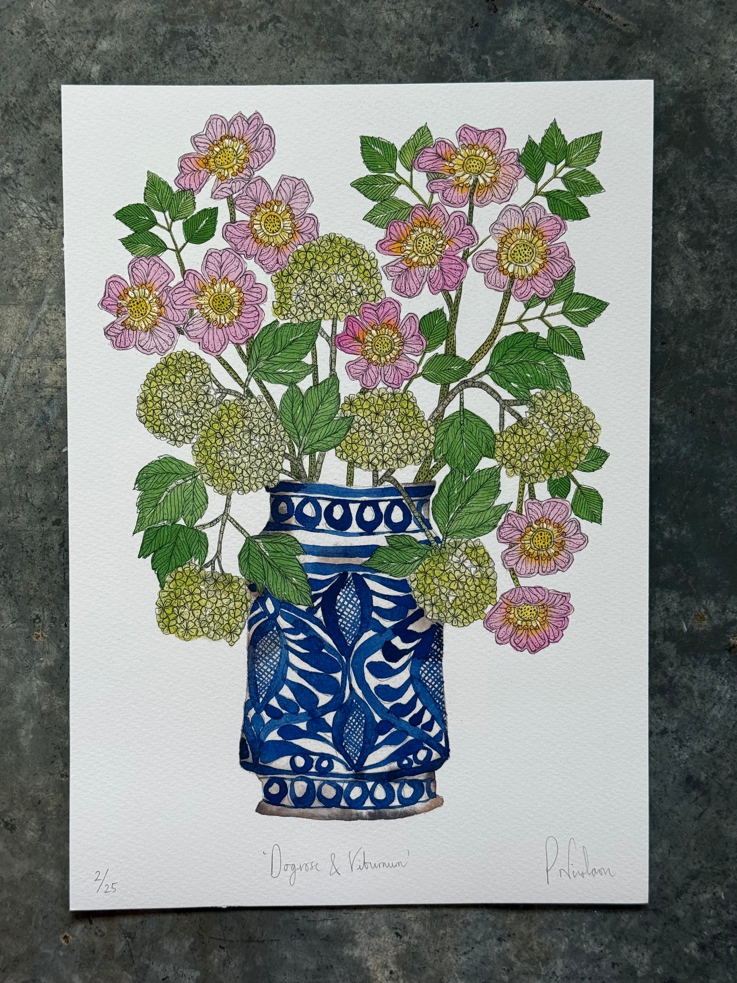 A4 'Dog Rose & Viburnum Limited Edition Giclee Print