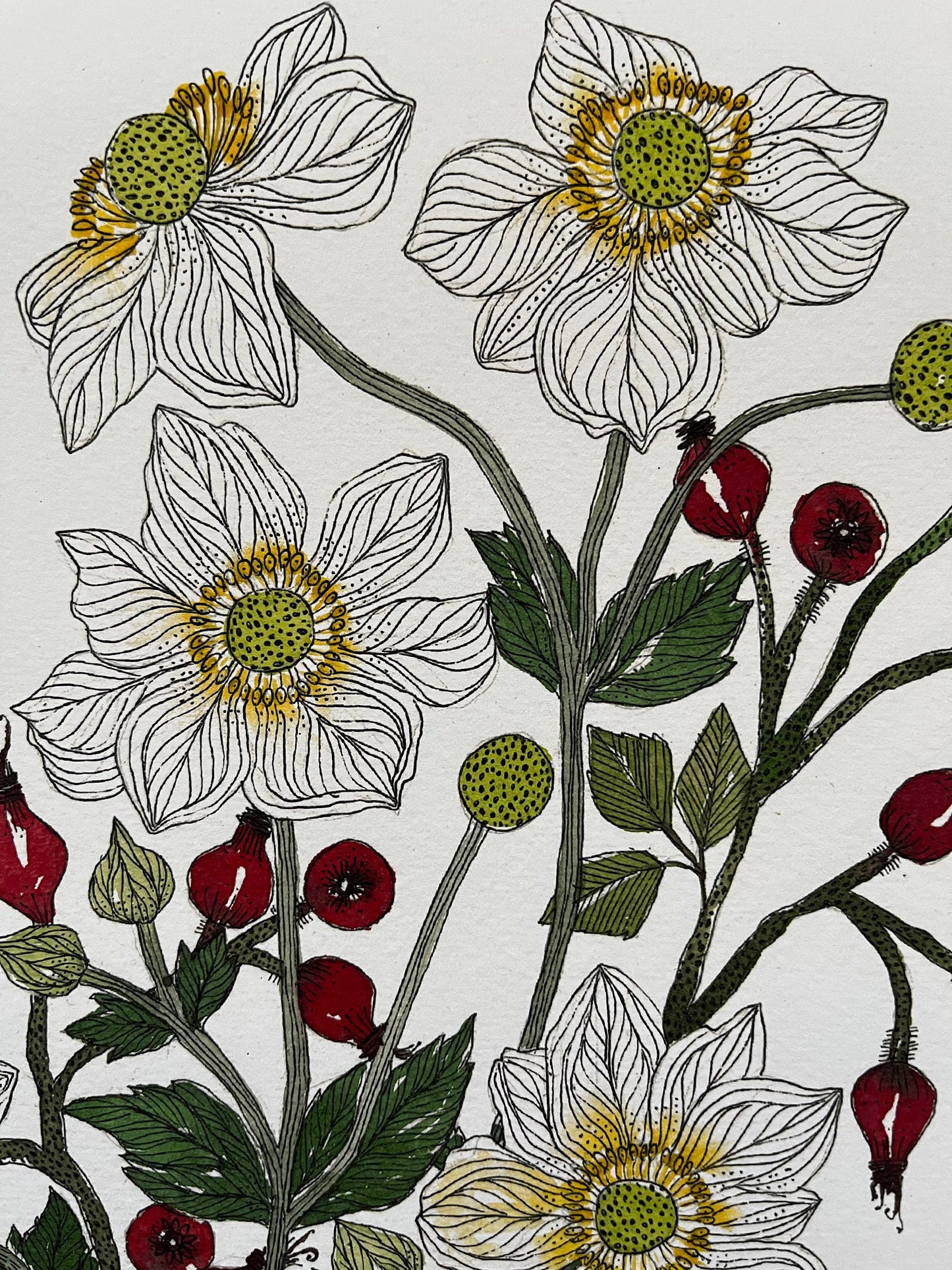 A3, limited edition giclee print of white anemones and rose hips in a blue and white patterned ceramic, vessel.