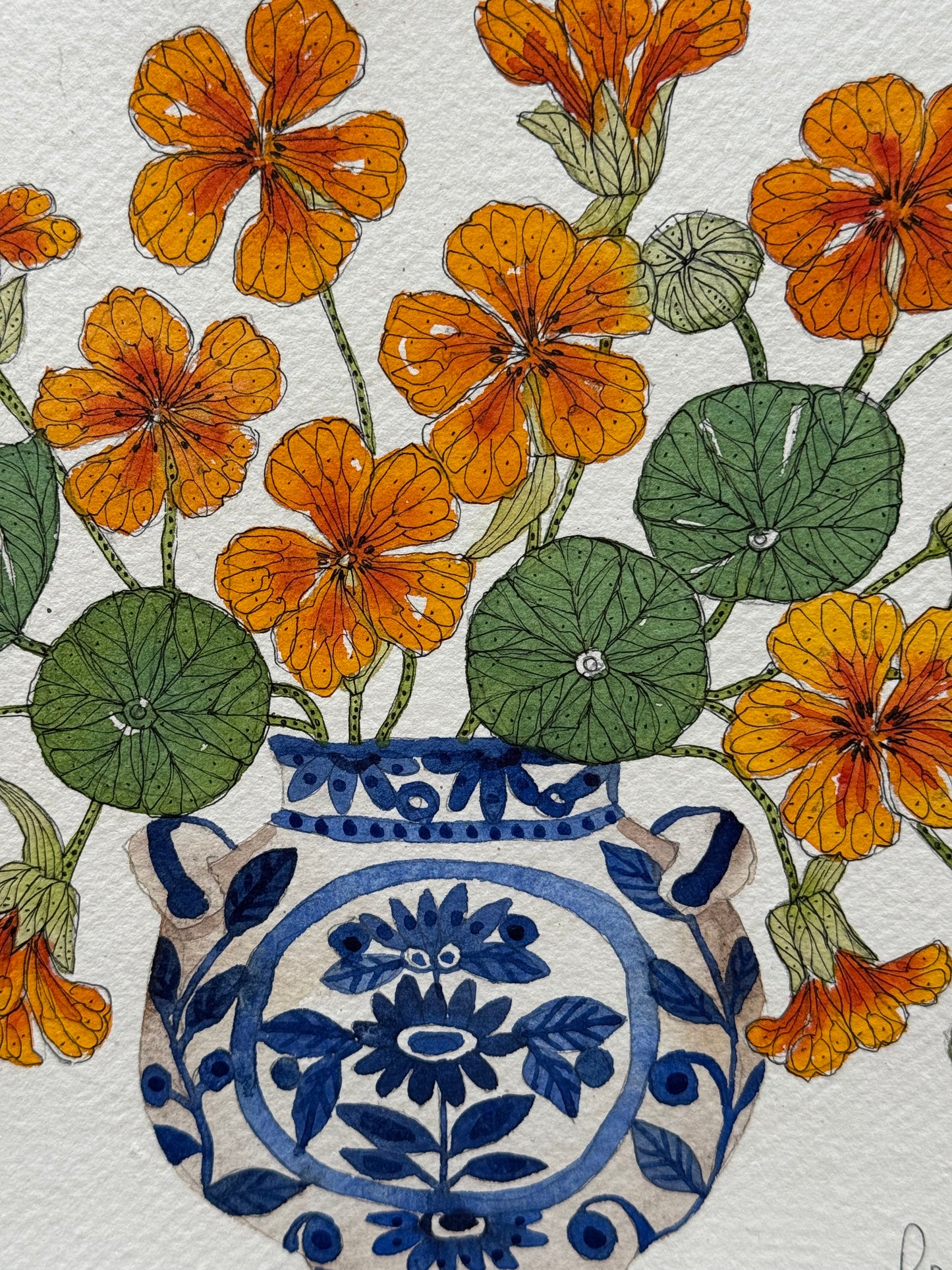 Original, Watercolour & Pen dancing Nasturtiums