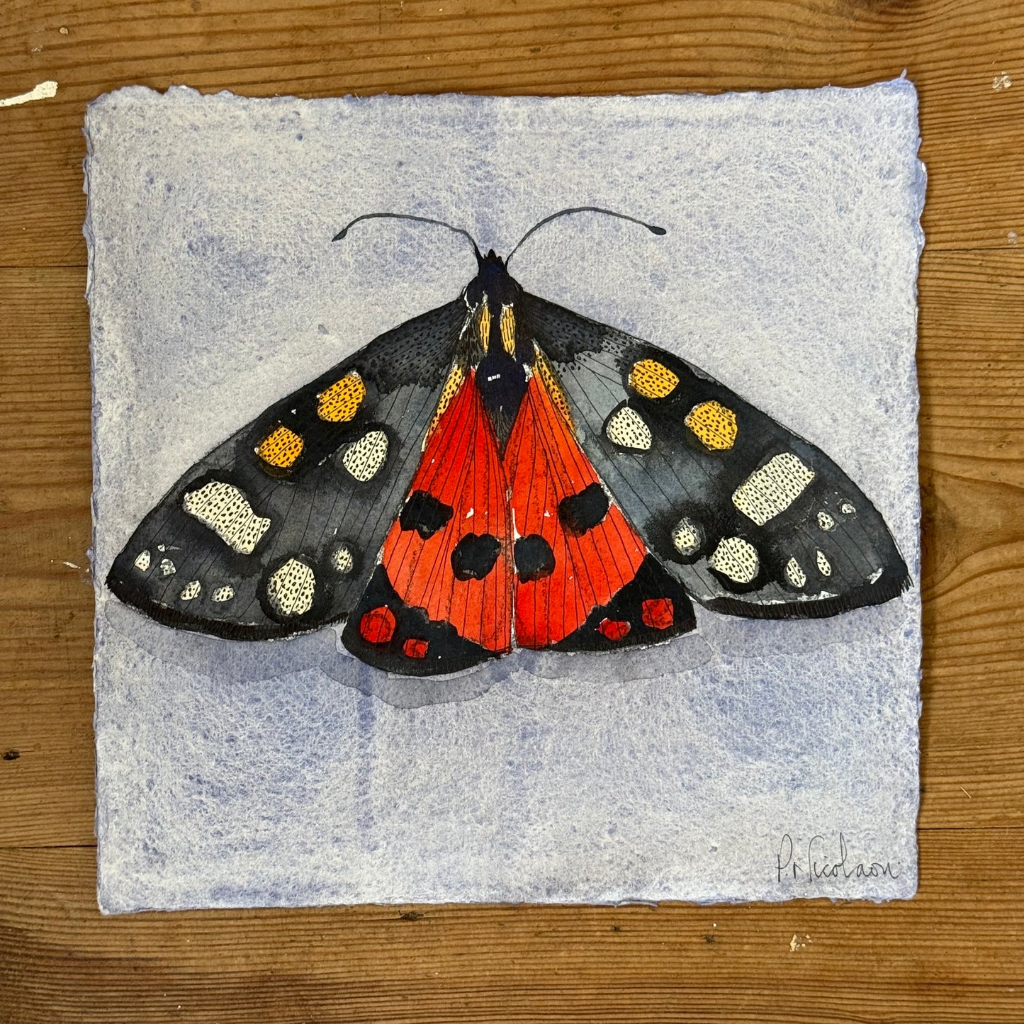 Original Watercolour & Pen Scarlet Tiger Moth