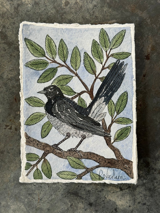 Original, A6 Watercolour Willy Wagtail Bird.