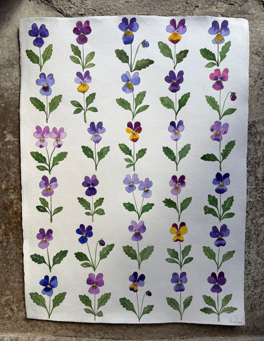 Original, large Watercolour Viola Painting