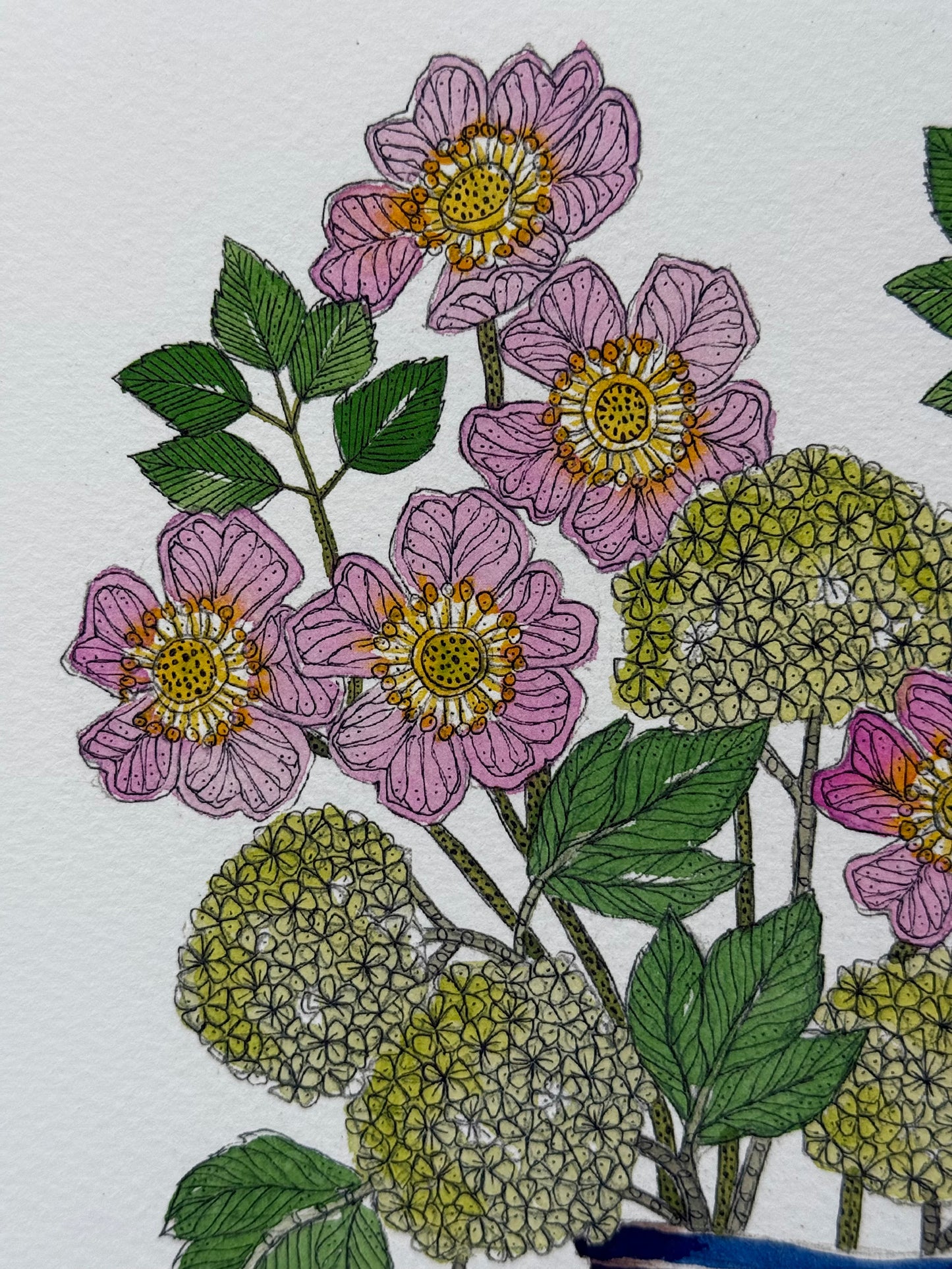 A4 'Dog Rose & Viburnum Limited Edition Giclee Print