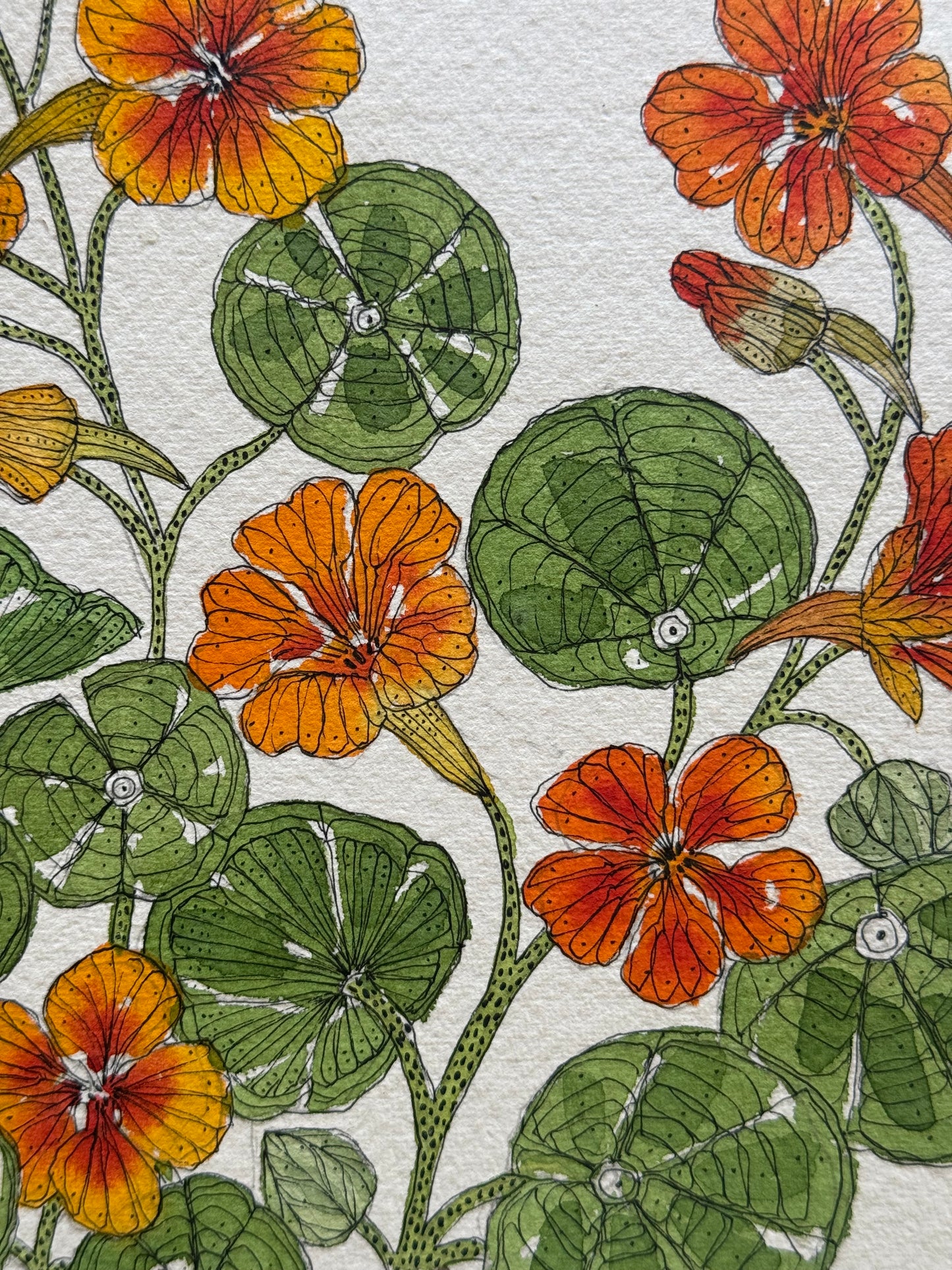 A4, Original Watercolour & Pen Nasturtiums in a Delft Teapot